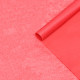 Бумага упаковочная тишью, красная, 50 х 66 см 10 шт